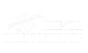 Orkestar Robert Demirovic